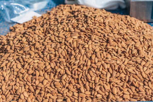 تصویر 2 از خرید و قیمت مغز بادام ربیعی نمکی ارگانیک +  فروش صادراتی